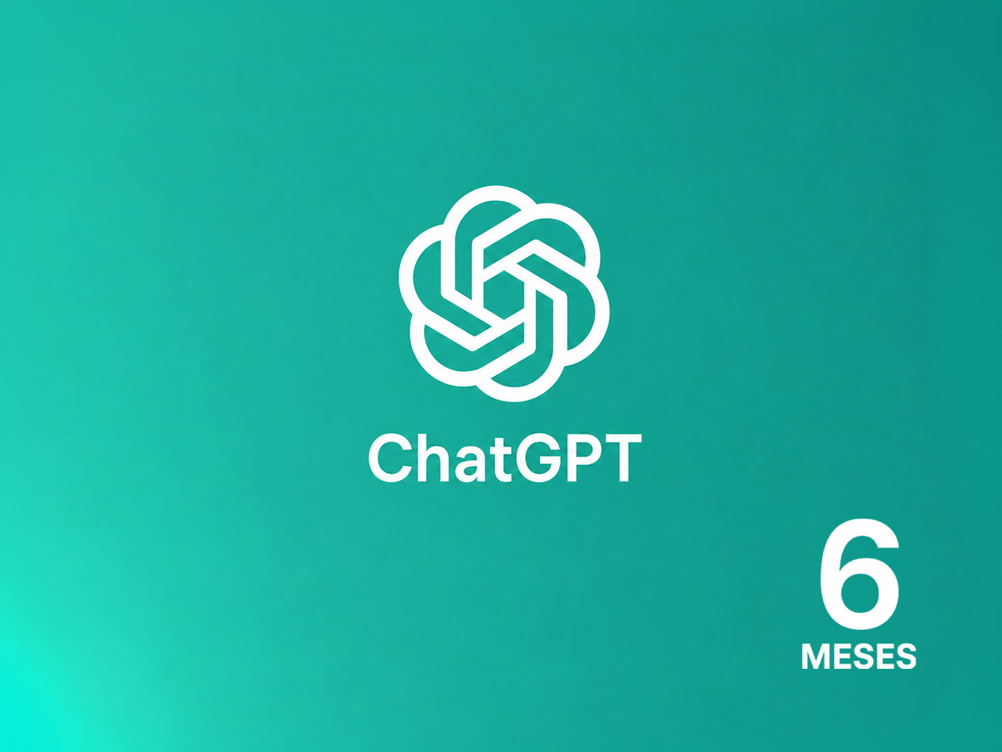Chat GTP 6 MESES