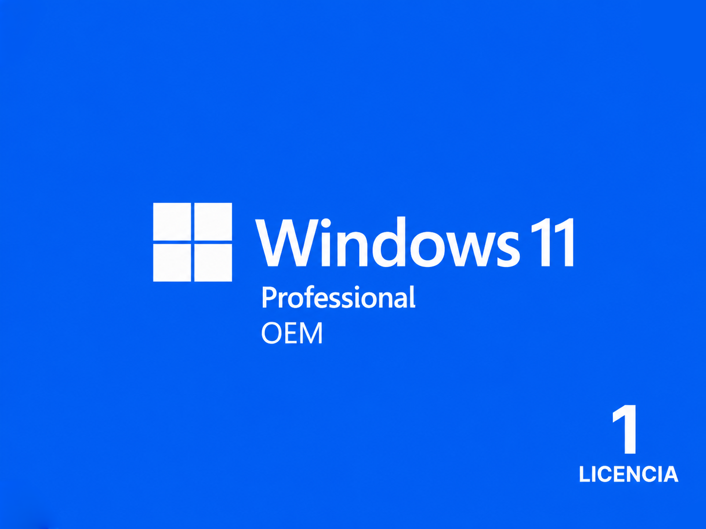 Windows 11